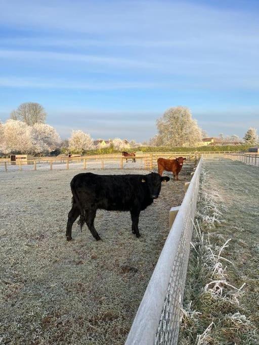 The Dairy-Petting Farm-Indoor Pool-Play Areas-Parkland-Woodland-Lake,Ponds&Stream-Min2 Night Stay Lechlade Exterior photo