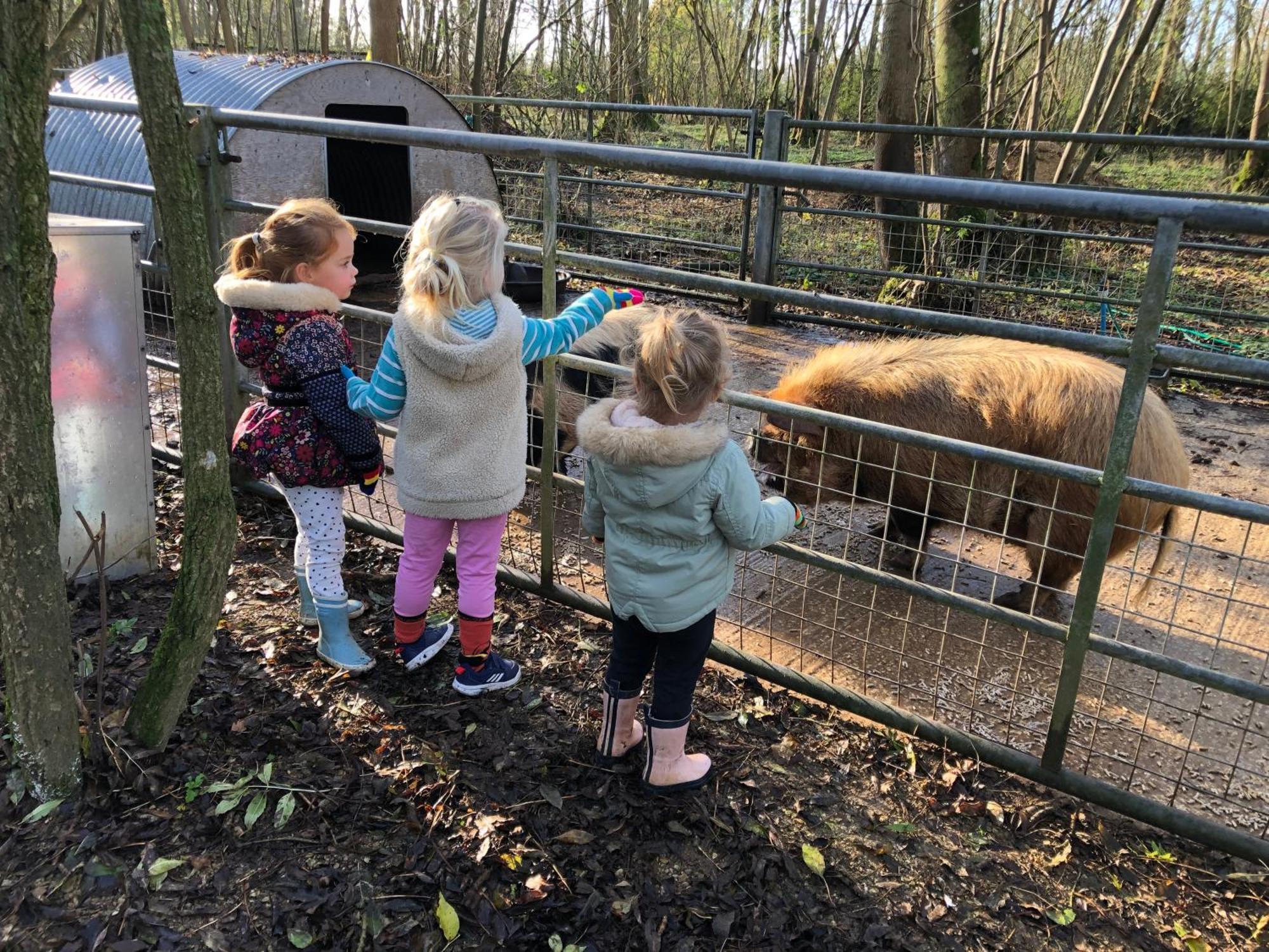 The Dairy-Petting Farm-Indoor Pool-Play Areas-Parkland-Woodland-Lake,Ponds&Stream-Min2 Night Stay Lechlade Exterior photo