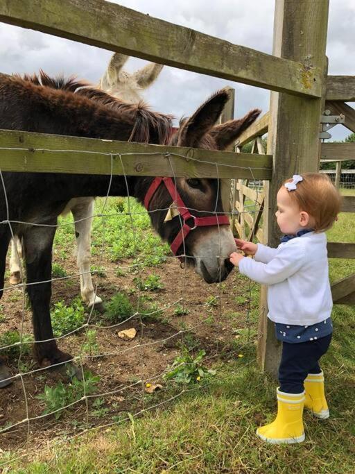 The Dairy-Petting Farm-Indoor Pool-Play Areas-Parkland-Woodland-Lake,Ponds&Stream-Min2 Night Stay Lechlade Exterior photo